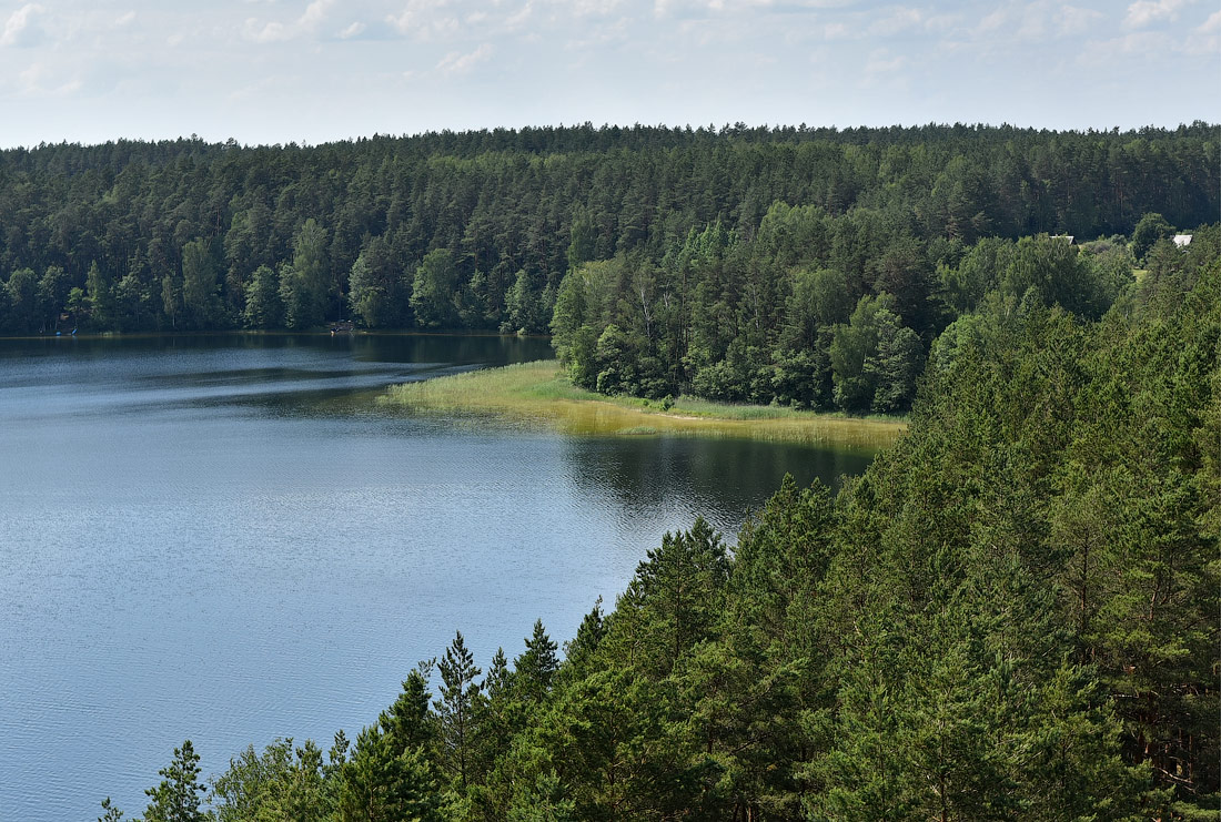 2 дня в Литве на природе + Тракайский замок после коронавирусного карантина