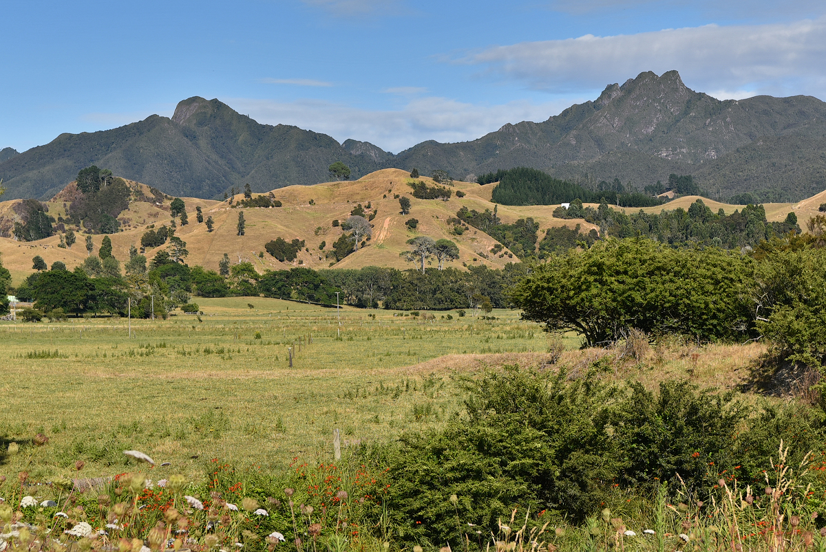 Жаркое лето в январе: Новая Зеландия в круизе на HAL Maasdam